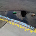Nicholas Troutman Photo 6