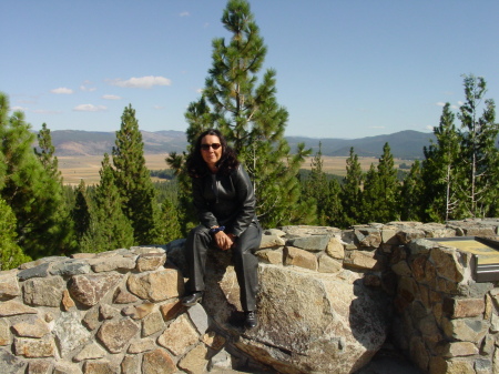 Debra Lundberg Photo 8
