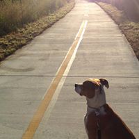 Nadia Barrera Photo 27