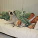 Frankie Jarrett Photo 9