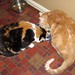 Patsy Summers Photo 21