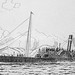 William Macfarlane Photo 26