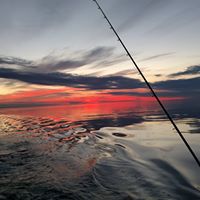 Todd Nowicki Photo 7