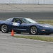 Cindy Dill Photo 22