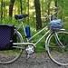 Amy Sears Photo 10
