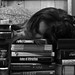 Simone Hunger Photo 4