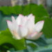 Chen Ren Photo 9