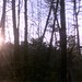 David Truby Photo 12