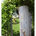 Sherry Hampton Photo 36