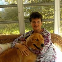 Ann Fairfield Photo 4