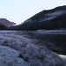 Dawn Lyons Photo 17