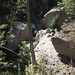 Amy Mcroberts Photo 8