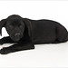 Sherry Shipley Photo 22