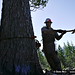 Robert Freeman Photo 41
