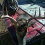 Billy Harmon Photo 20