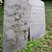 William Salter Photo 7