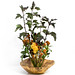 Shelli Flowers Photo 8