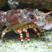 Michael Motes Photo 25