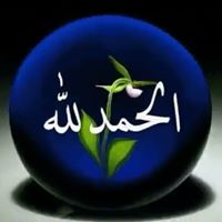 Syed Shaukat Photo 6