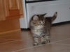 Cindy Long Photo 18