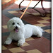 Charlie Fagan Photo 26