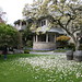 Tammy Romano Photo 21