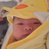 Robert Nguyen Photo 23