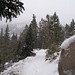 Michelle Estes Photo 16