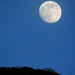 Ventura Luna Photo 5