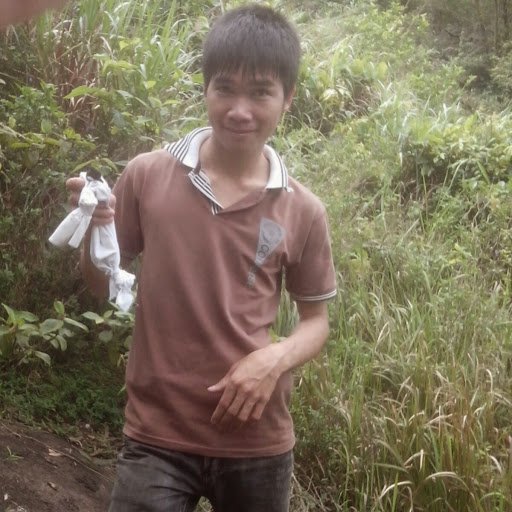 Su Tran Photo 11
