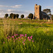 Paul Campion Photo 23
