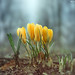 Don Winters Photo 14