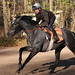 Robert Collet Photo 12