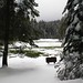 Larry Meadows Photo 29