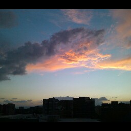 Liu Di Photo 5
