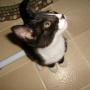 Joe Robison Photo 32