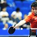 Qi Wang Photo 34