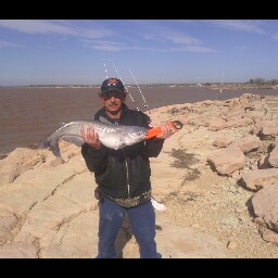 Carl Mcdaniel Photo 11