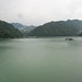 Shih Ma Photo 2