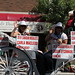 Susan Macleod Photo 20