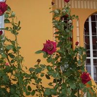 Kathleen Rivas Photo 9