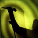 Roy Gallagher Photo 22