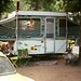 Robert Camper Photo 8