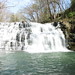 Robert Rutledge Photo 10