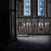 Robert Bishop Photo 17