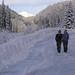 Eric Robins Photo 13