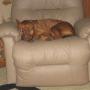 Cheryl Cain Photo 35