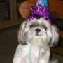 Sheri Tanner Photo 12
