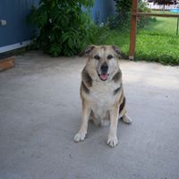 Shellie Silva Photo 11