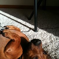 Dale May Photo 3